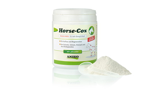 Condoprotector para caballo, Anibio horse cox
